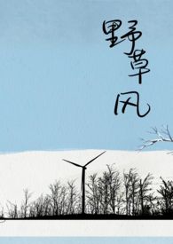 野草风拍照技巧